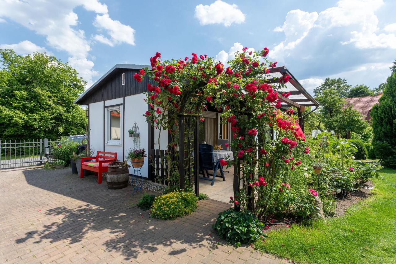 Domizil Am Park Sanssouci Holiday home Potsdam